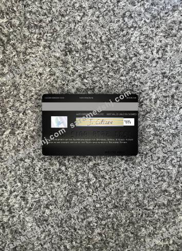 Serbia Raiffeisen banka a.d. Beograd visa debit card photolook back